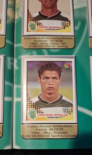 2002 panini futebol album - 2002-03,