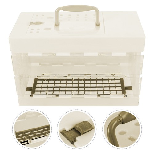 Pet parrot carrier bird - pet,