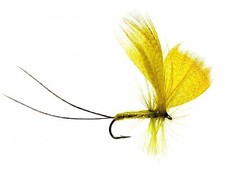 3 Yellow DRAKE Dry Flies