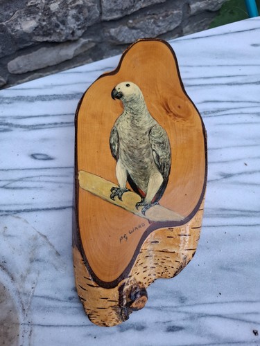 Hand painting african grey - painting, of
