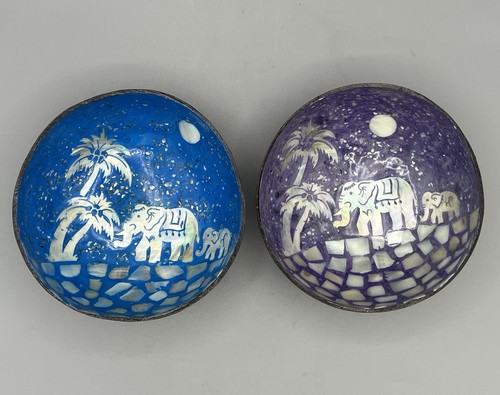 Pair coconut shell snack - snack, bowls