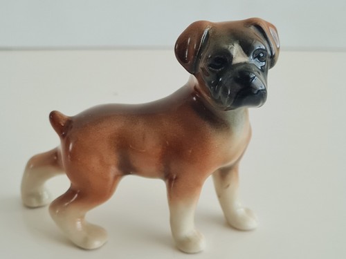 West german boxer dog - boxer, dog,