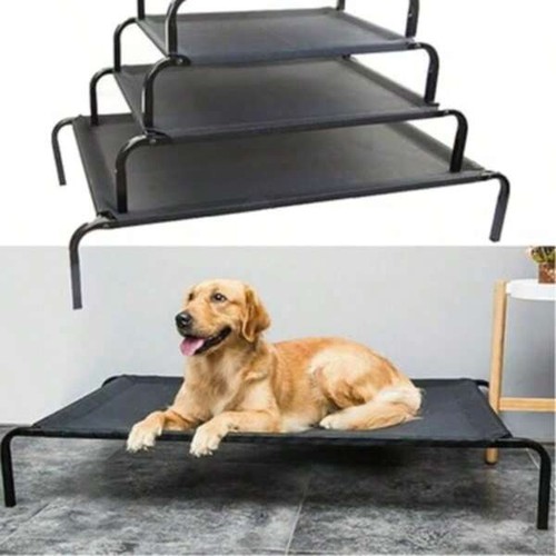 High raised dog - high,