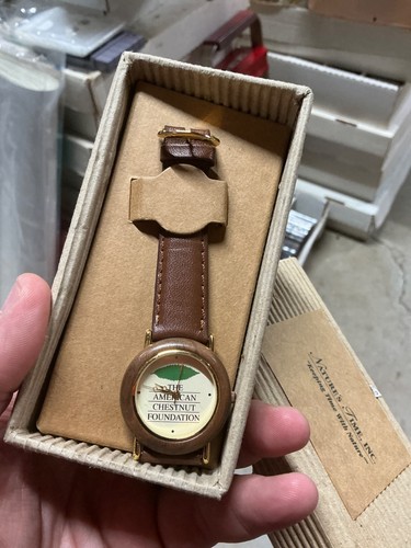 Nature time women - women, brown