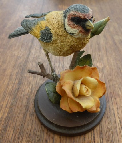 Country artists broadway birds - country,