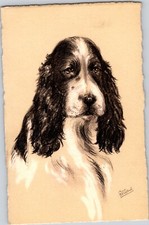 Early Vintage Beautiful Cocker Spaniel Art Print Unposted Postcard