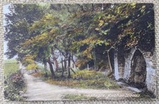 Barnstaple Anchor Woods