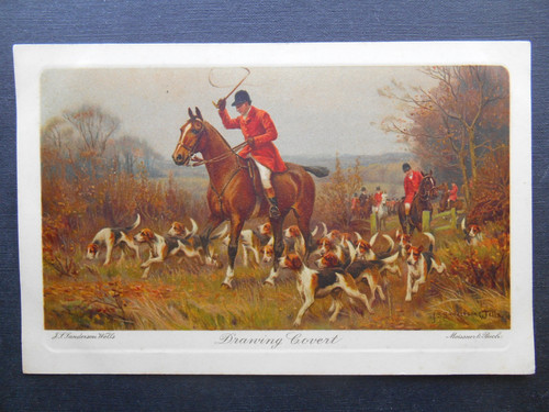 Sanderson wells fox - sanderson,