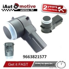 Peugeot 308 407 RCZ Parking