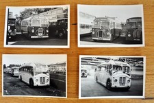 10 bus photographs: Eastern National 1950s/60s single-deck selection