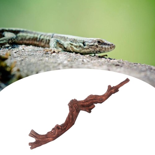 Reptile corner climbing - corner,