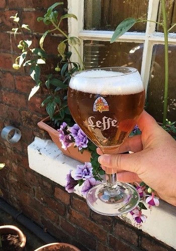 Leffe oversized pint glass - leffe,