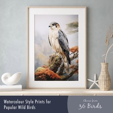 Watercolour Bird Prints –