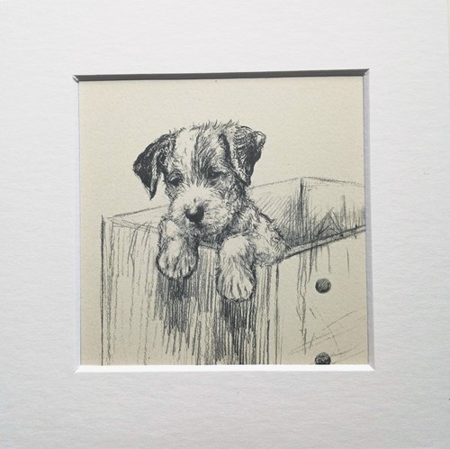Terrier puppy dog sketch - , print