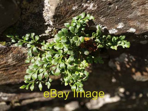 Photo 6x4 wall - 6x4, rue