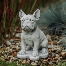 Dog French Bulldog Stone