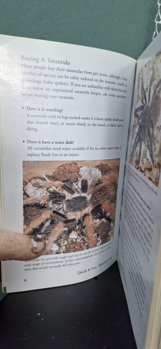 Tarantula starter kit - tarantula,
