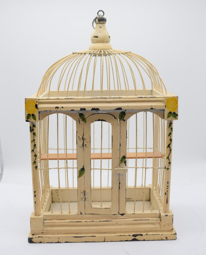 Decorative bird cage - bird,
