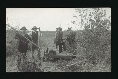 Farm three men with - , a