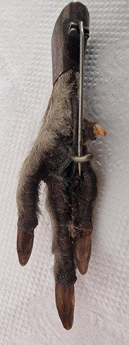 Vintage scottish grouse foot - scottish,