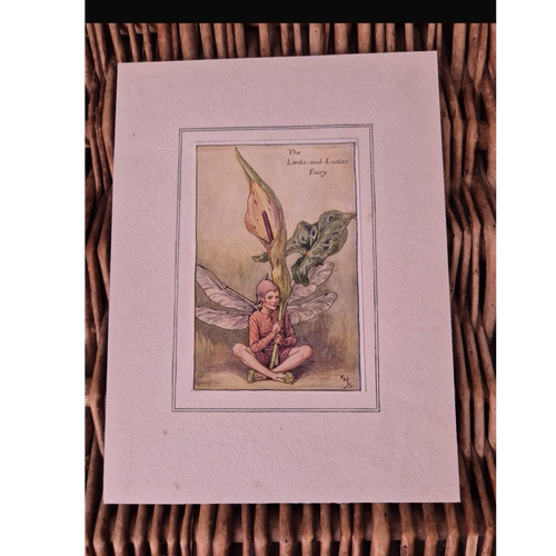 Original cicely mary barker - original,
