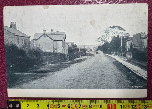 Antique postcard sleights - postcard,
