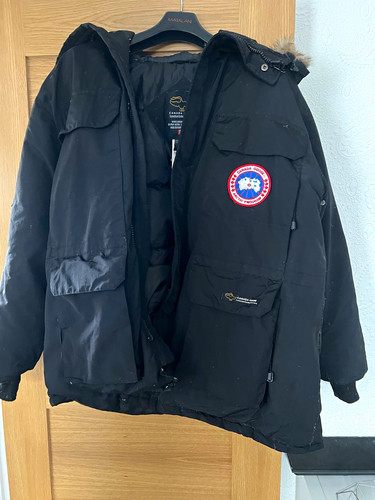 Iconic canada goose - canada,