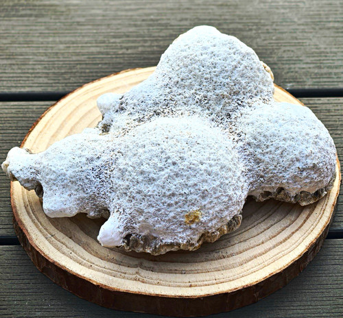 White porous botryoidal - white,