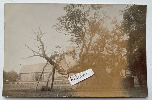 C1910 cowthorpe oak ancient - c1910,