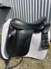 Albion Legend K2 Dressage