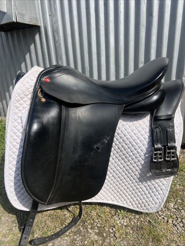 Albion legend dressage - legend,