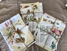 Bundle 40 Nature book pages Scrapbooking Mixed media Junk journal  craft collage