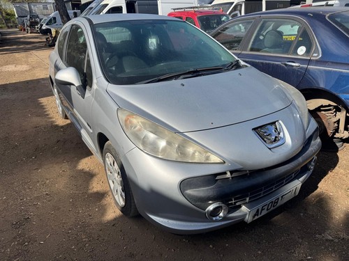 Peugeot 207 1007 citroen - 06-12,