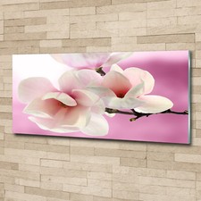 Plexiglas® Print Acrylic Wall