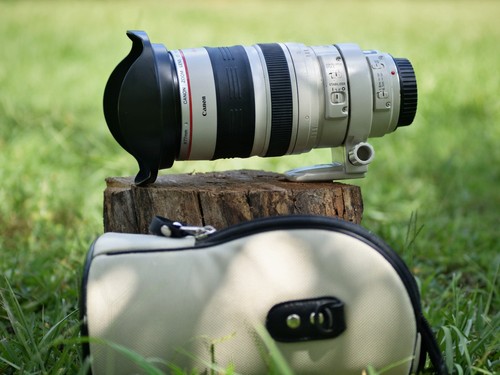 Canon 100 400mm - (top, 100-400mm