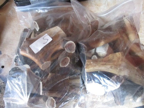 Deer dog chews - kilo, plus