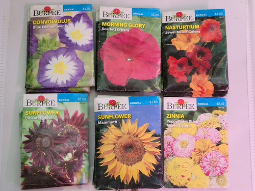 Burpee flower seed - burpee, assortment