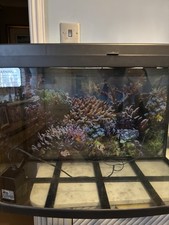 Love Fish Tank with Heater (Pets At Home)