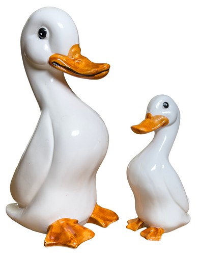 Pair porcelain ducks - of,
