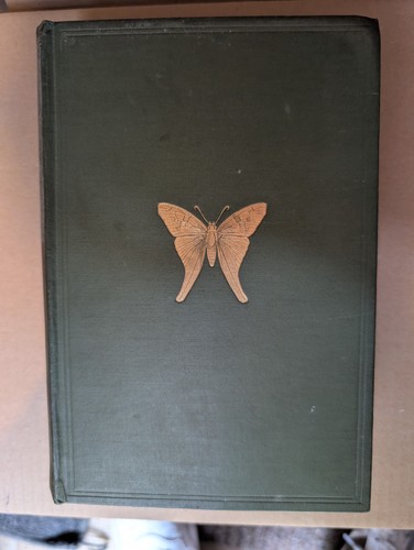 1912 1st butterfly hunting - 1912, butterfly-hunting