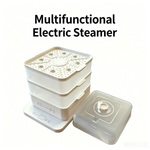 New electric food steamer - new,