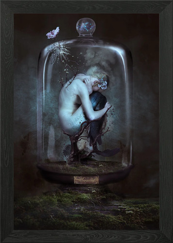 The mermaid framed wall - the,