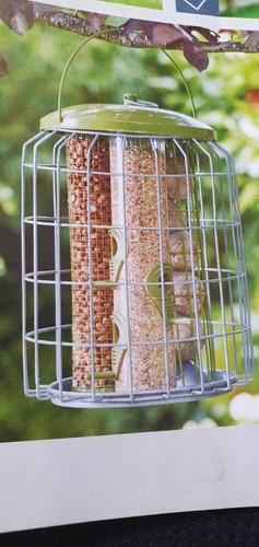 Squirrel proof bird - in,