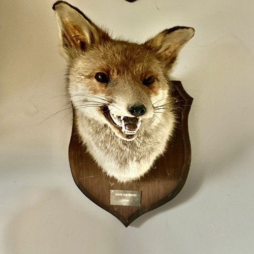 Vintage red fox - vintage, mask