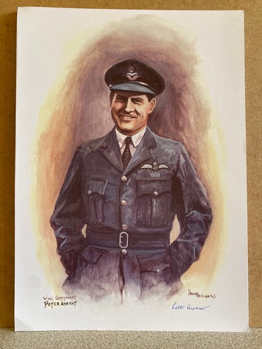 Portrait wing commander - of,
