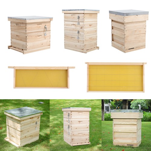 4tier pro langstroth beehive - 2-4tier,