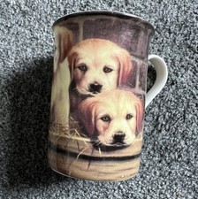 A Lovely Labrador Pups Fine