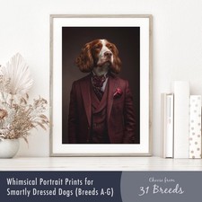 Smartly Dressed Pet Dog