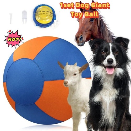 1pc herding ball - for, dogs