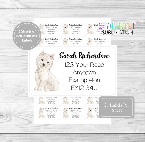 West highland white terrier - highland, 42